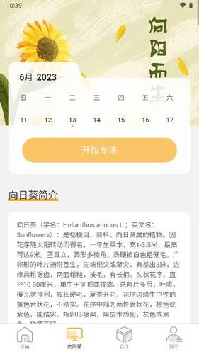 向阳流量app
