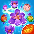 花花传奇官方下载_花花传奇最新版下载 v100.224.1.0安卓版