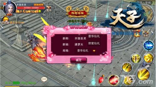 天子游戏截图2