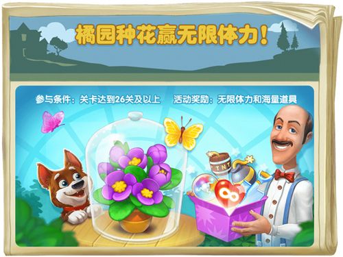 梦幻花园4