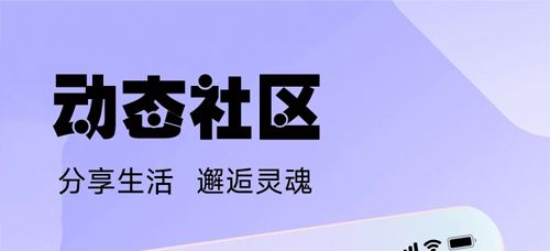 江湖直播软件评测