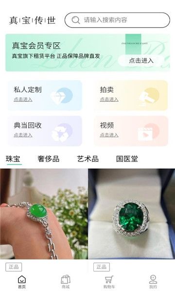 真宝传世图片2