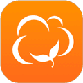 棉花IN app