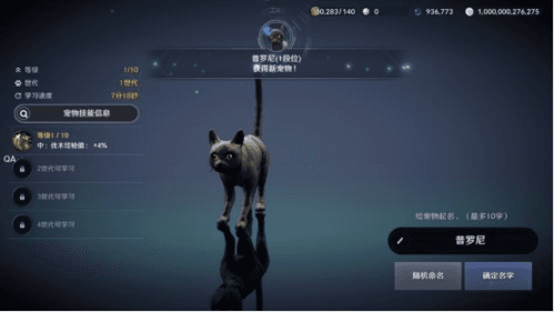 《黑色沙漠》黑色瘦猫任务攻略 黑色沙漠手游黑色瘦猫任务完成攻略4