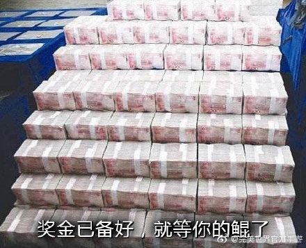 完美世界5