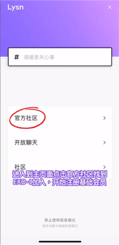 lysn中文图片6