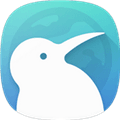 KiwiBrowser官方版