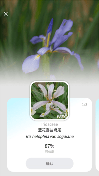 植物智app官方正版宣传图