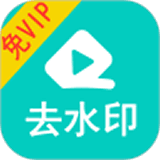 视频大师去水印