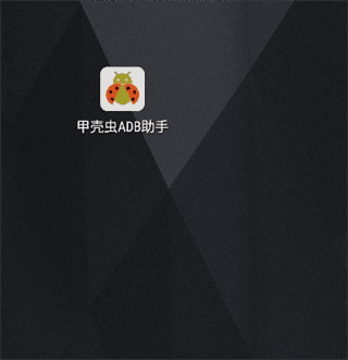 甲壳虫ADB助手旧版本软件截图11