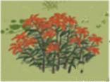 江南百景图野草图片4