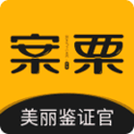 案栗医生