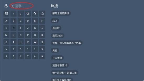 知云4K软件图片3