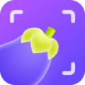 茄子相机安卓版下载_茄子相机app下载 v2.3.0.1最新版