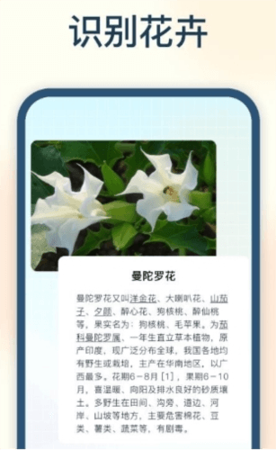 试卷星app