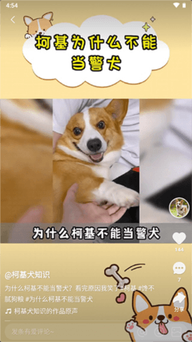 噗叽App8