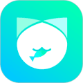 抓鱼猫app