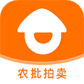 道农拍app