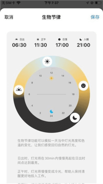 rayzig照明图片