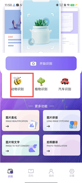 识物相机怎么用配图1