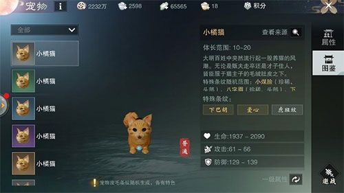 宠物攻略配图1