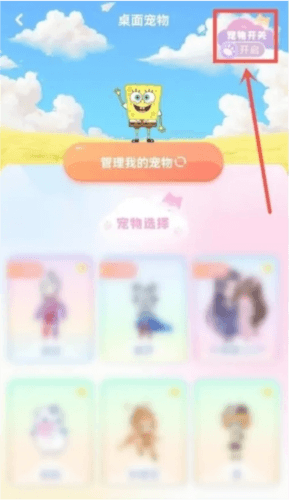 哈屏宠物宠物如何设置5