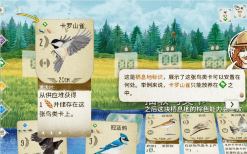 展翅翱翔测评:破开圈层体会平时关注不到的乐趣 展翅翱翔1