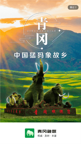 青冈融媒体APP图片1