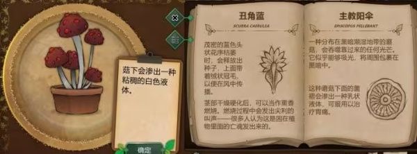 植物图鉴配图2