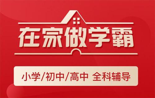 精锐在线app2