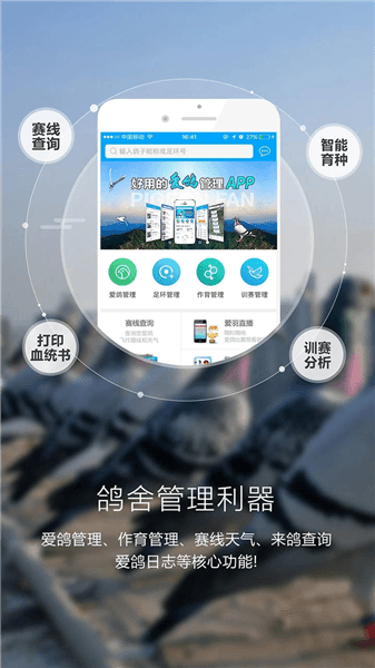 爱鸽者app宣传图