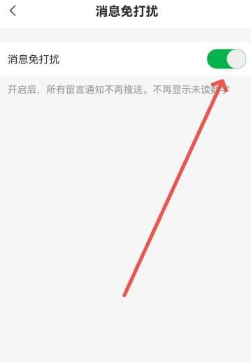 如何开启免打扰配图3
