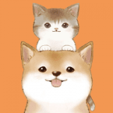 猫狗翻译通