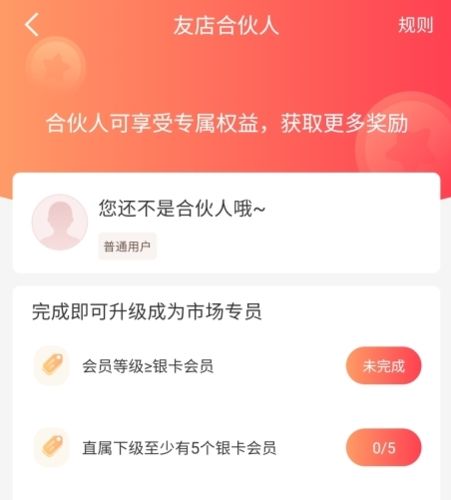 星链友店怎么做合伙人图片2