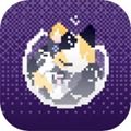 对人类过敏的猫游戏下载_对人类过敏的猫官方版下载 v1.0安卓版