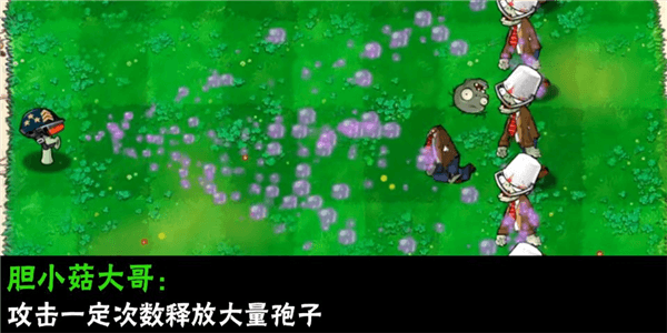 植物介绍配图10