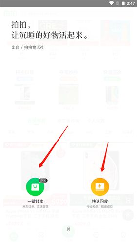拍拍8