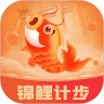 锦鲤计步