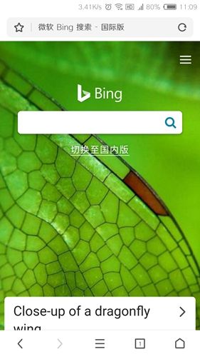 自由鲸浏览器app