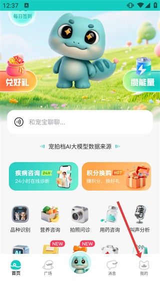怎么创建宠物档案配图2