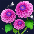 插花小屋官方版