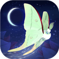 彩翼之星夜官方版下载_彩翼之星夜游戏下载 v2.250安卓版