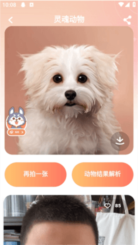 变脸相机怎么用配图3
