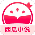 西瓜小说app