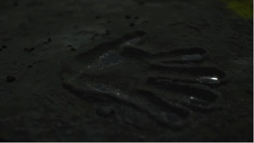 搁浅物虽然看不见,但行动时会在地上留下手印