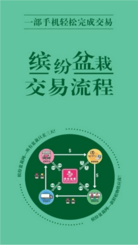 缤纷盆栽网上销售平台21