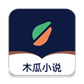 木瓜小说最新版
