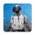 PUBGMobile日韩服手游下载_PUBG Mobile日韩服官方版下载 v4.4.0最新版