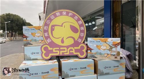 浮生为卿歌4