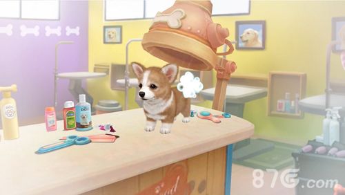 小汪汪宣传图5